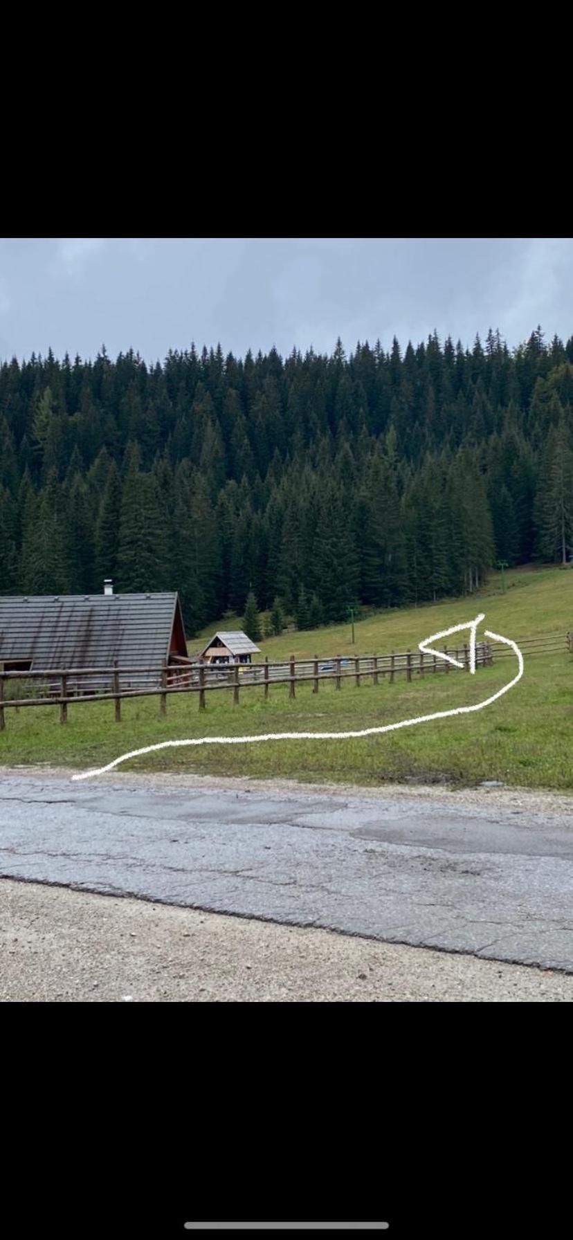 Cosy Chalet On Pokljuka - Brunarica Tinkara Zgornje Gorje Ngoại thất bức ảnh
